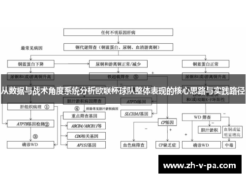 从数据与战术角度系统分析欧联杯球队整体表现的核心思路与实践路径